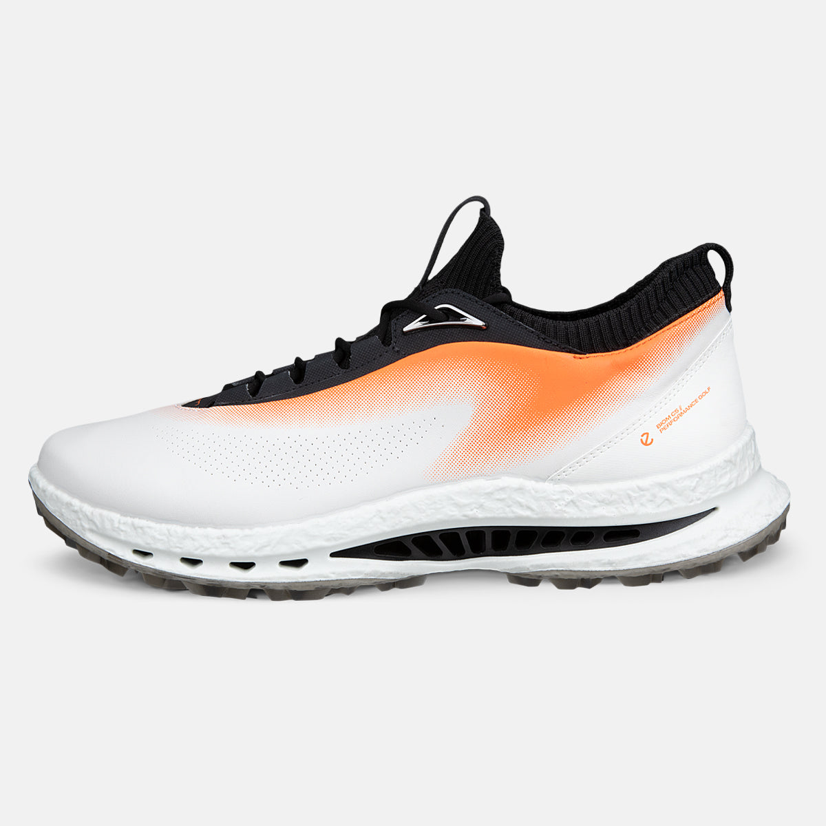 Ecco Biom C5 - Ibis