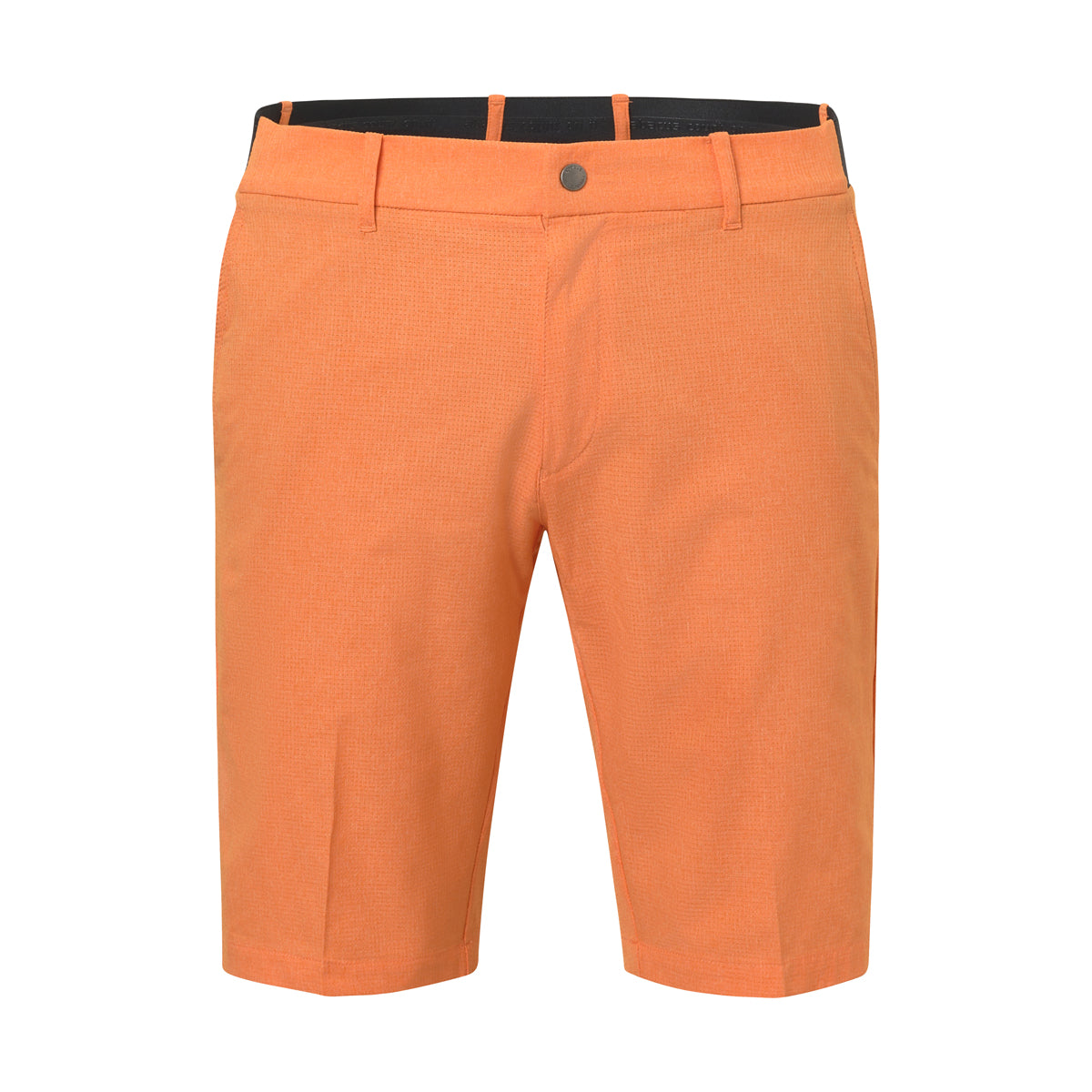 Abacus Huntingdale shorts