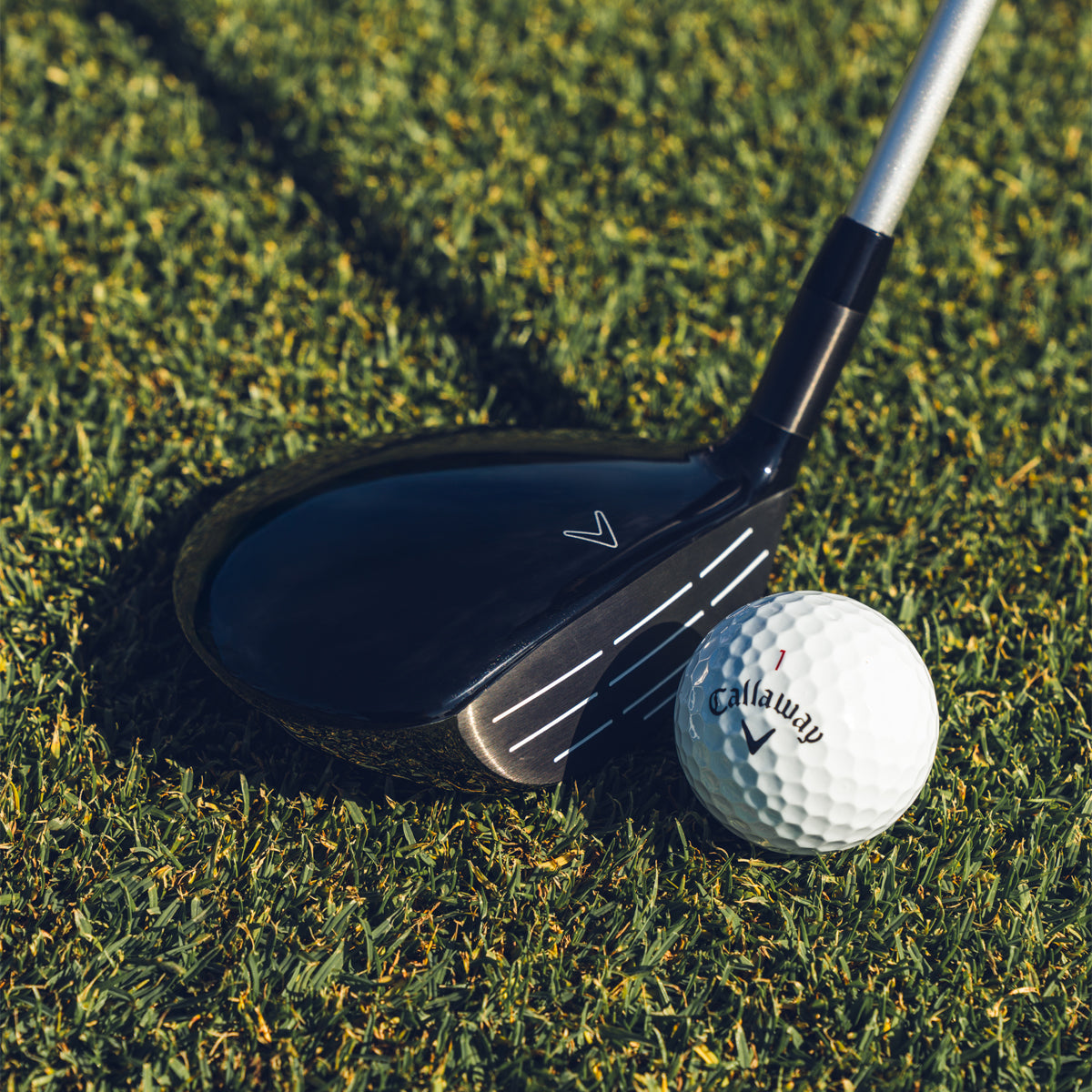 Callaway REVA pakkesæt - Dame