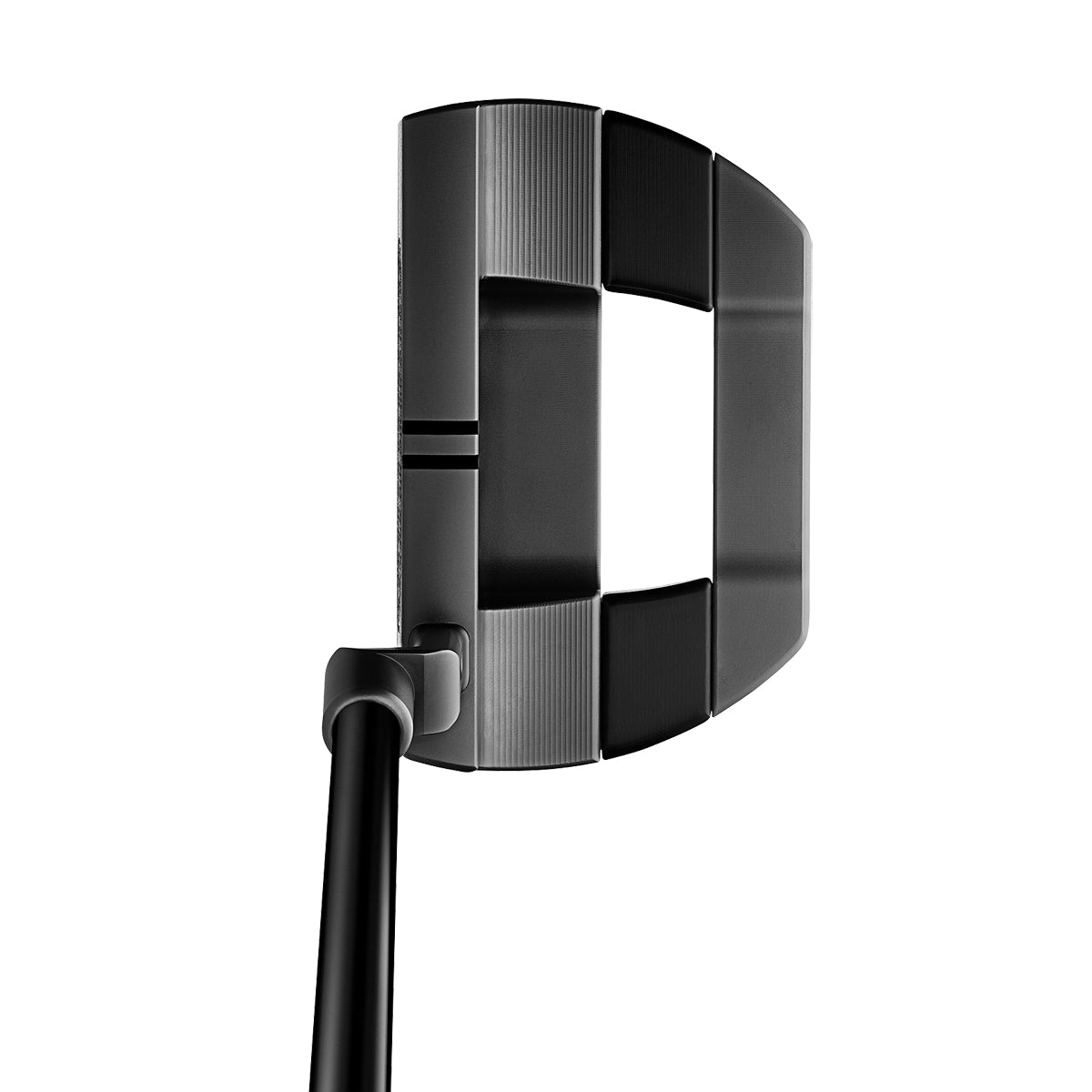 Scotty C Studio Xperimental Fastback 2