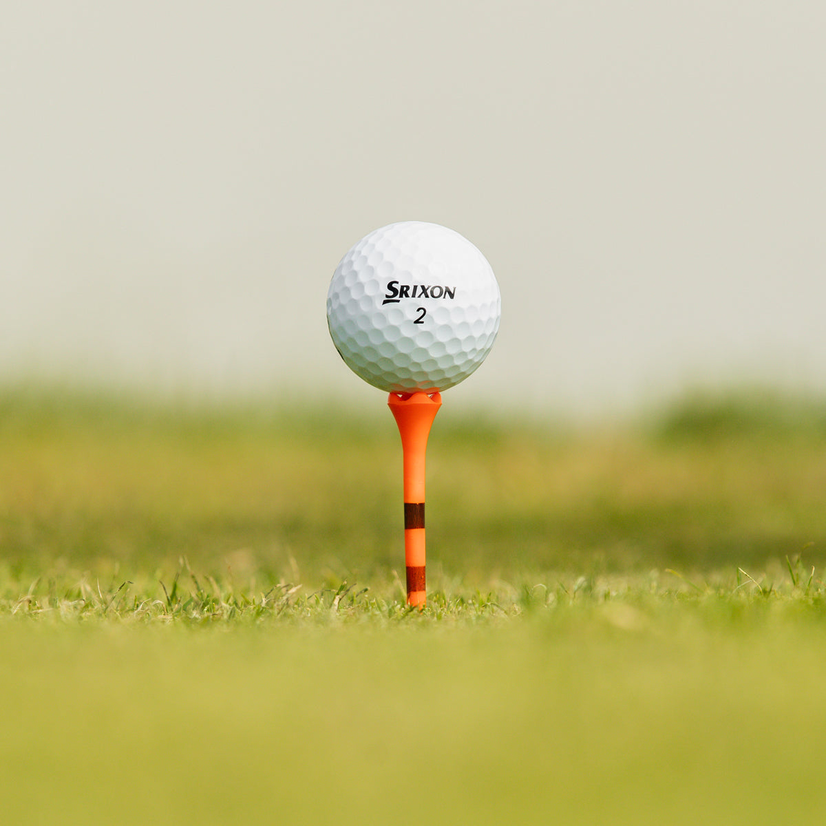 Srixon Q-Star Tour - Hvid