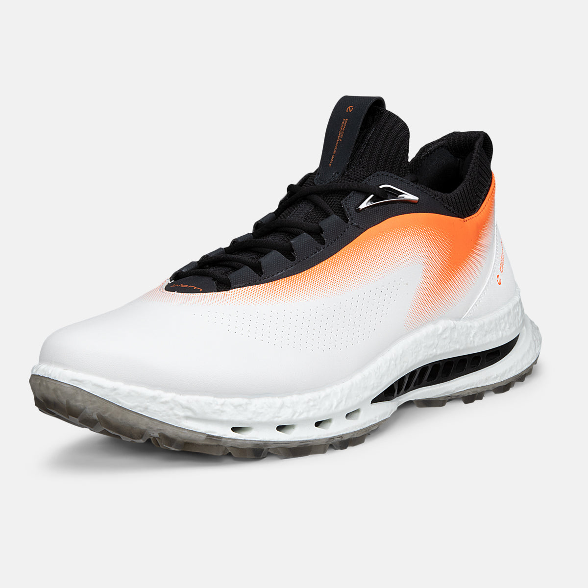 Ecco Biom C5 - Ibis