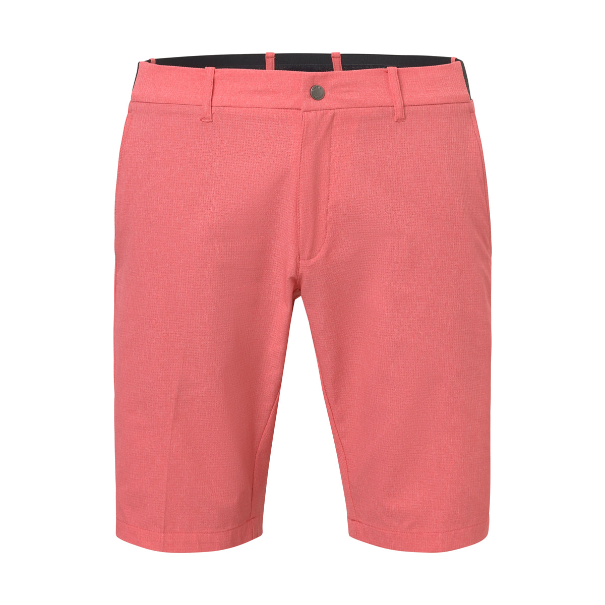 Abacus Huntingdale shorts