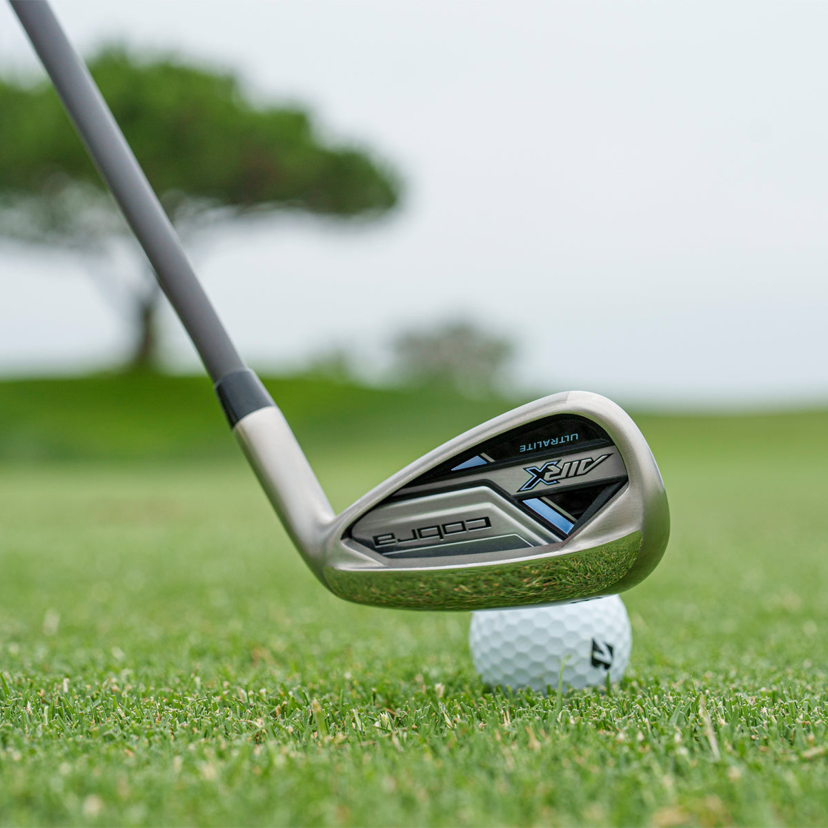 Cobra Air-X 6 stk. Grafit - Dame