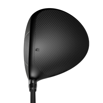 Cobra DS-Adapt X driver