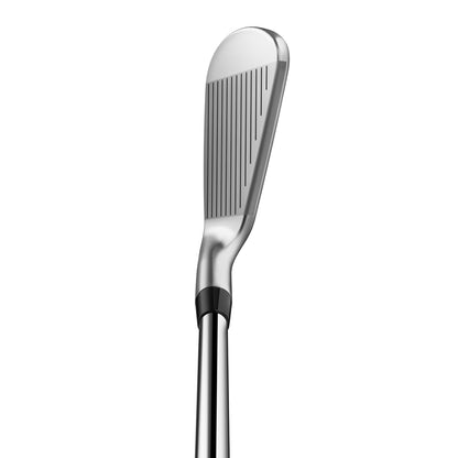 Titleist 250 6 stk. - Stål