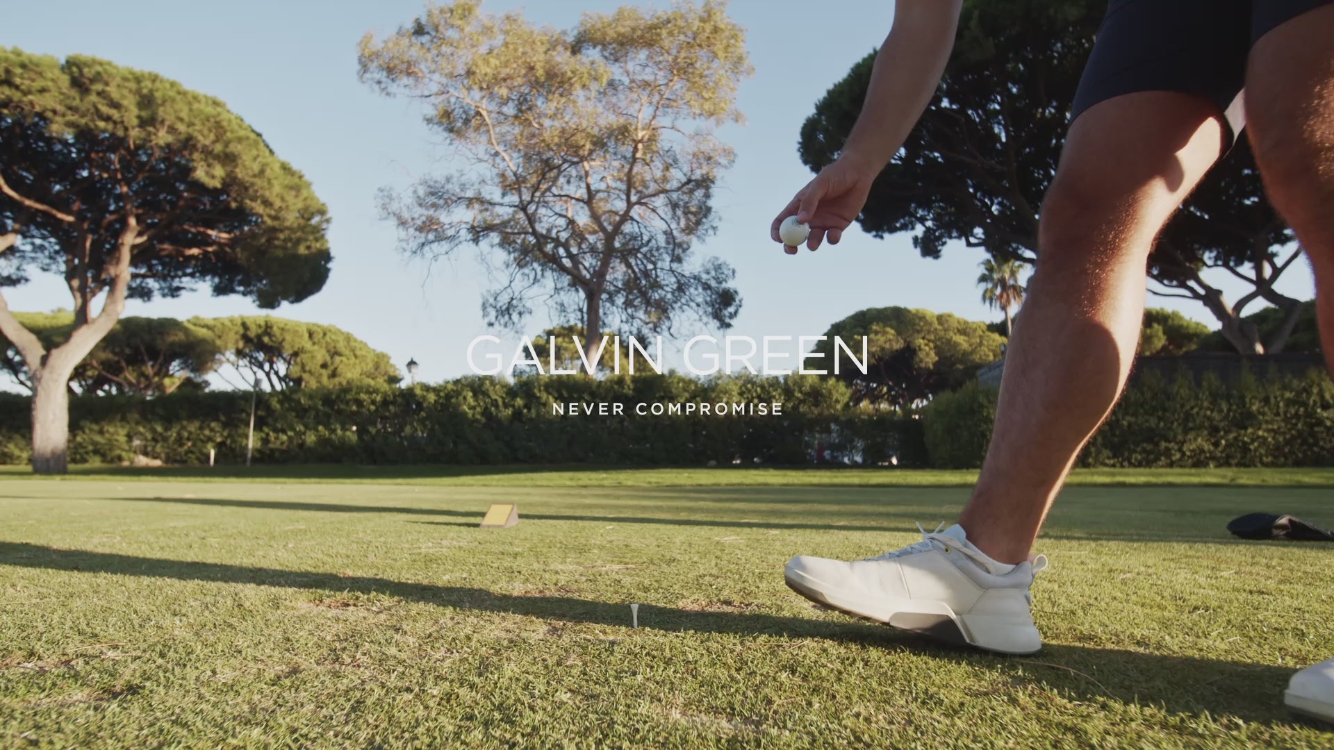 Indlæs video: Galvin Green